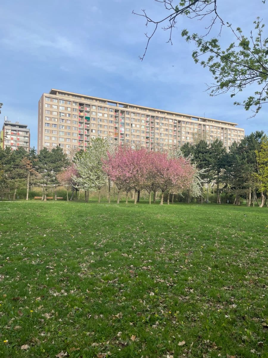 Pronájem bytu 2+kk 45 m², Kurkova, Praha, Praha Pronájem bytu 2+kk 45 m², Kurkova, Praha, Praha