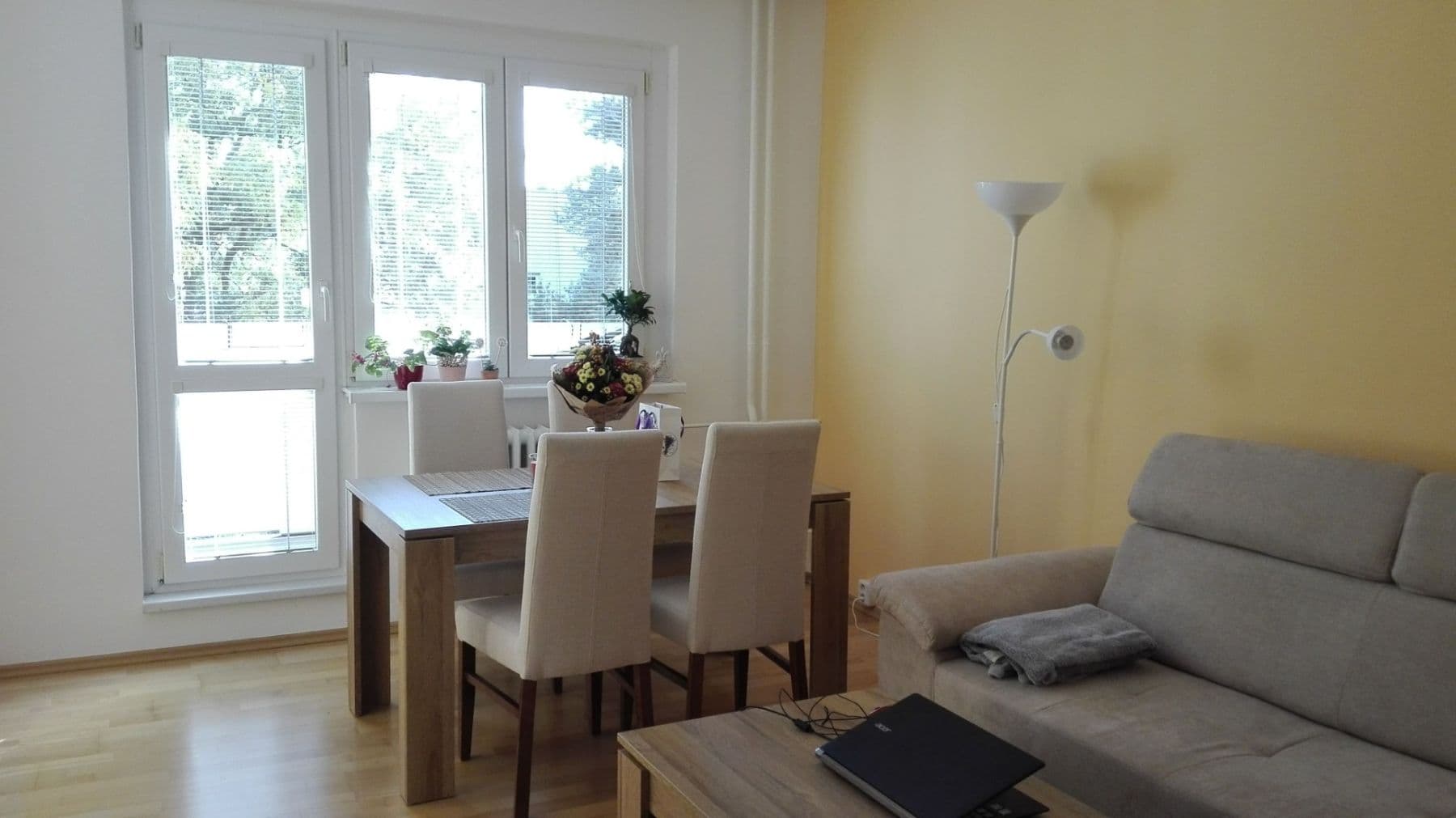Prodej bytu 3+1 73 m², Merhautova, Brno, Jihomoravský kraj Prodej bytu 3+1 73 m², Merhautova, Brno, Jihomoravský kraj