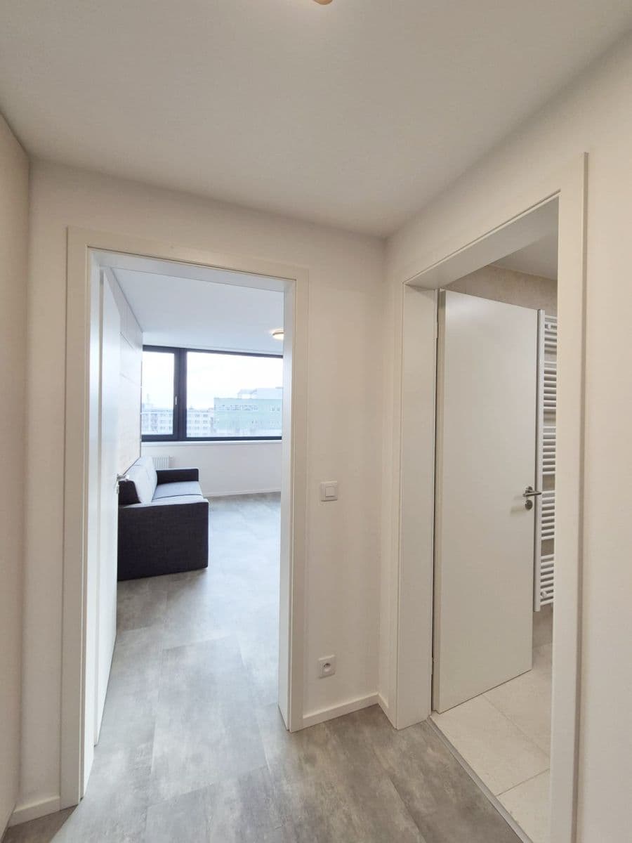 Pronájem bytu 1+kk 33 m², Vídeňská, Brno, Jihomoravský kraj Pronájem bytu 1+kk 33 m², Vídeňská, Brno, Jihomoravský kraj