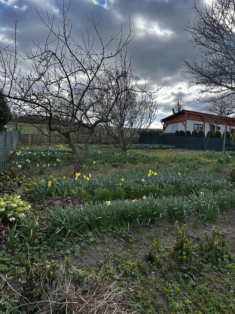 Prodej pozemku 888 m², Litoměřice, Ústecký kraj Prodej pozemku 888 m², Litoměřice, Ústecký kraj