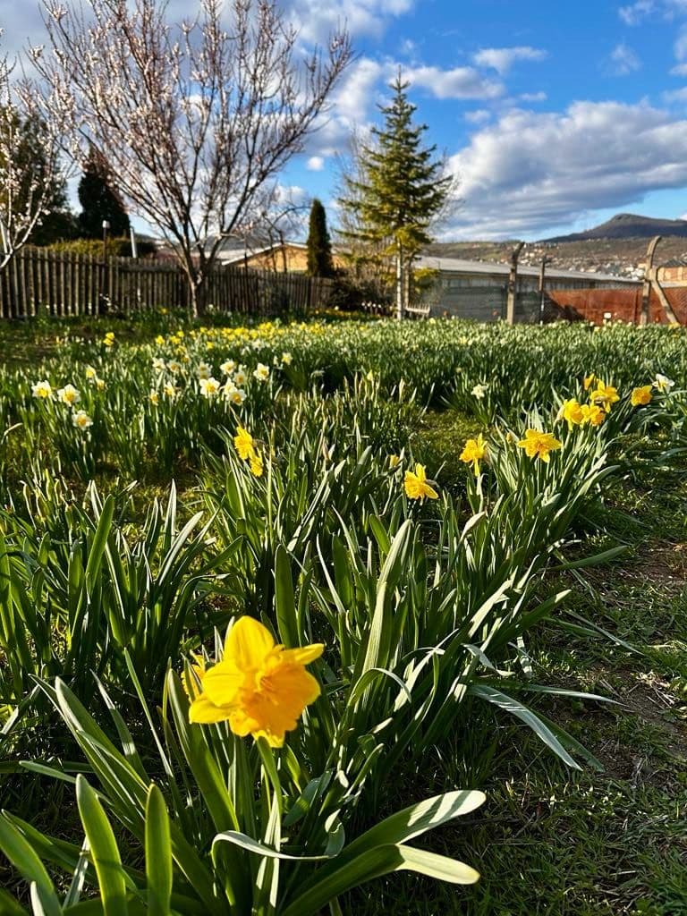 Prodej pozemku 888 m², Litoměřice, Ústecký kraj Prodej pozemku 888 m², Litoměřice, Ústecký kraj