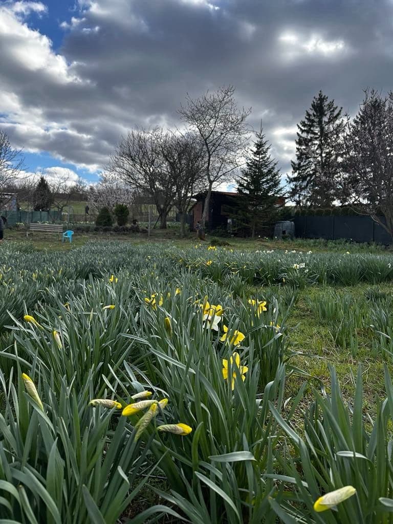 Prodej pozemku 888 m², Litoměřice, Ústecký kraj Prodej pozemku 888 m², Litoměřice, Ústecký kraj