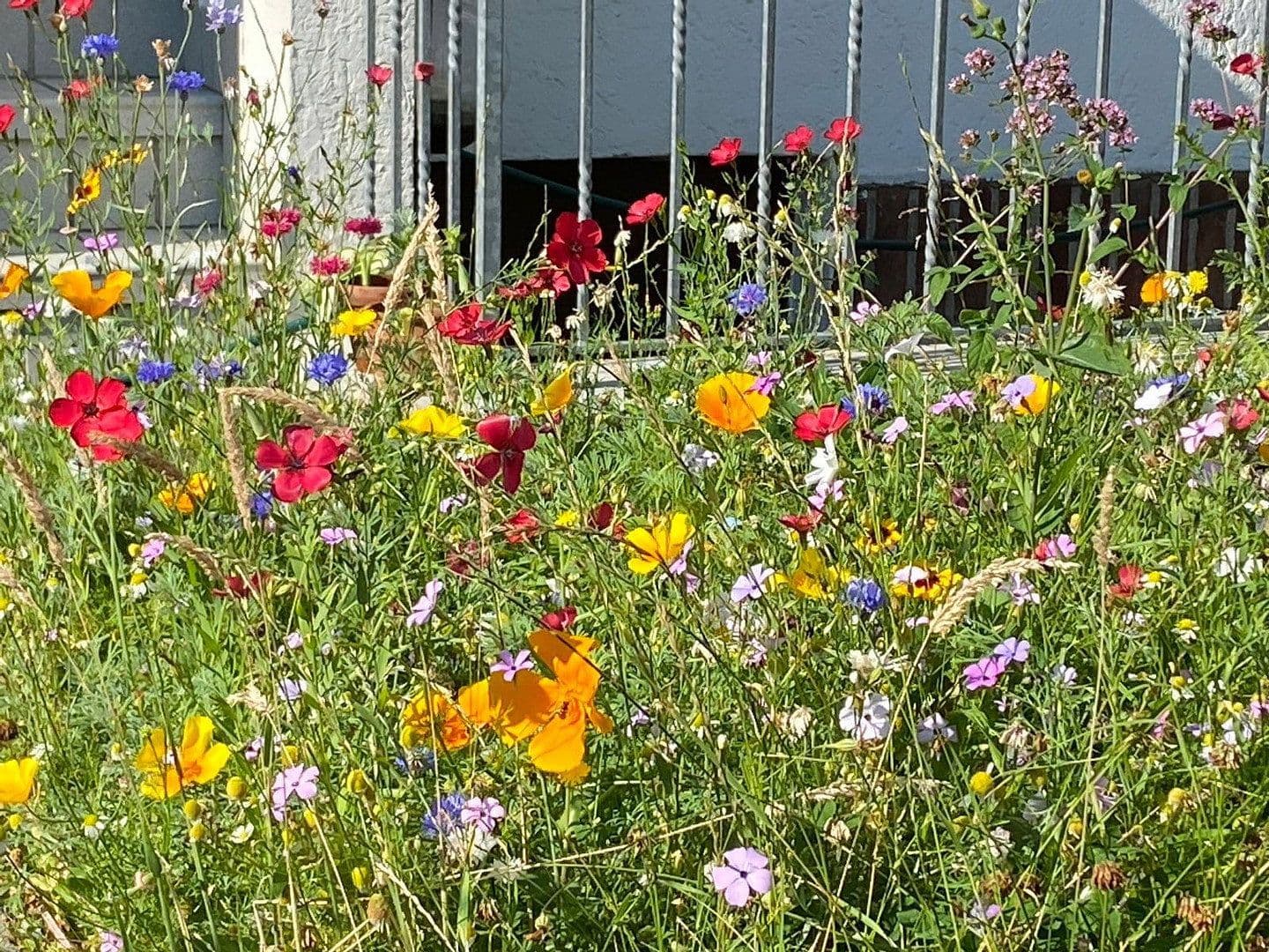 Pronájem bytu 2+1 80 m², Rüdigerstraße 100, Köln-Merheim, Severní Porýní-Vestfálsko Pronájem bytu 2+1 80 m², Rüdigerstraße 100, Köln-Merheim, Severní Porýní-Vestfálsko