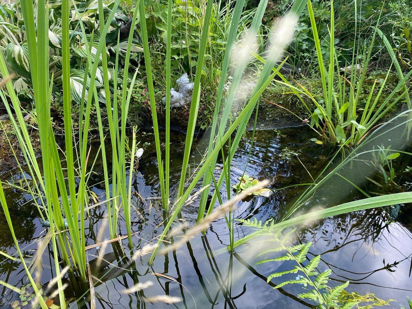 Pronájem bytu 2+1 80 m², Rüdigerstraße 100, Köln-Merheim, Severní Porýní-Vestfálsko Pronájem bytu 2+1 80 m², Rüdigerstraße 100, Köln-Merheim, Severní Porýní-Vestfálsko