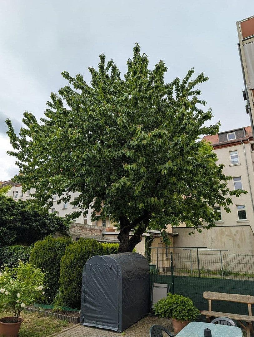 Pronájem bytu 2+1 60 m², Markkleeberg, Sasko Pronájem bytu 2+1 60 m², Markkleeberg, Sasko