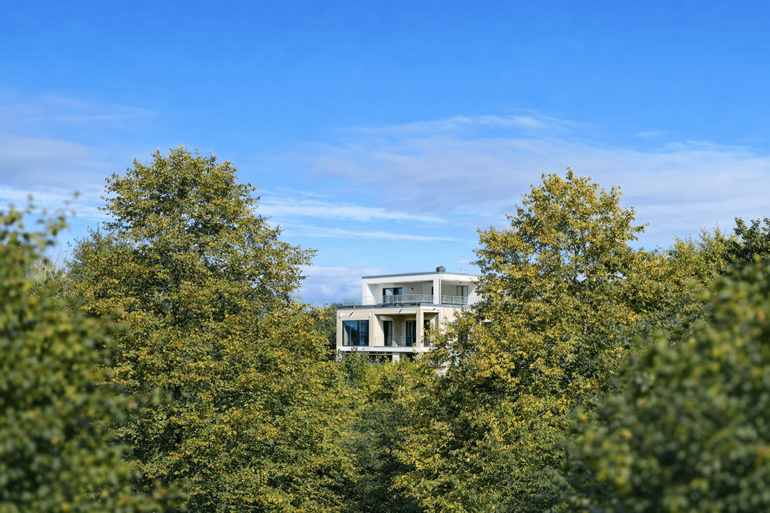 Prodej domu 420 m², pozemek 500 m², Schönaich, Bádensko-Württembersko Prodej domu 420 m², pozemek 500 m², Schönaich, Bádensko-Württembersko