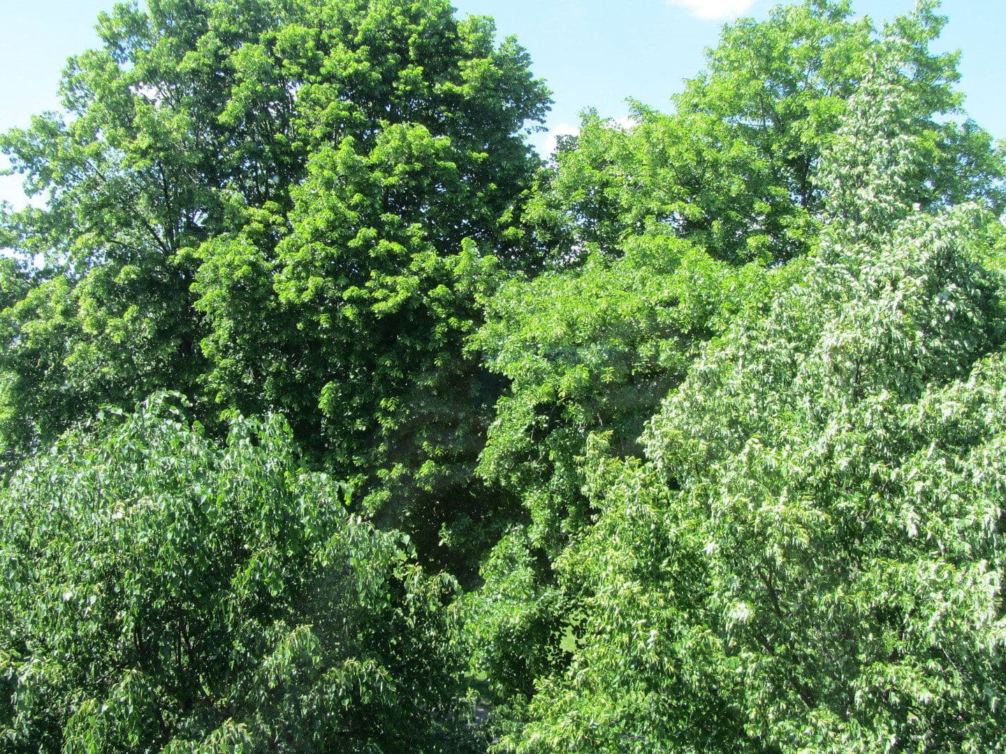 Prodej bytu 2+1 57 m², Alfter, Severní Porýní-Vestfálsko Prodej bytu 2+1 57 m², Alfter, Severní Porýní-Vestfálsko