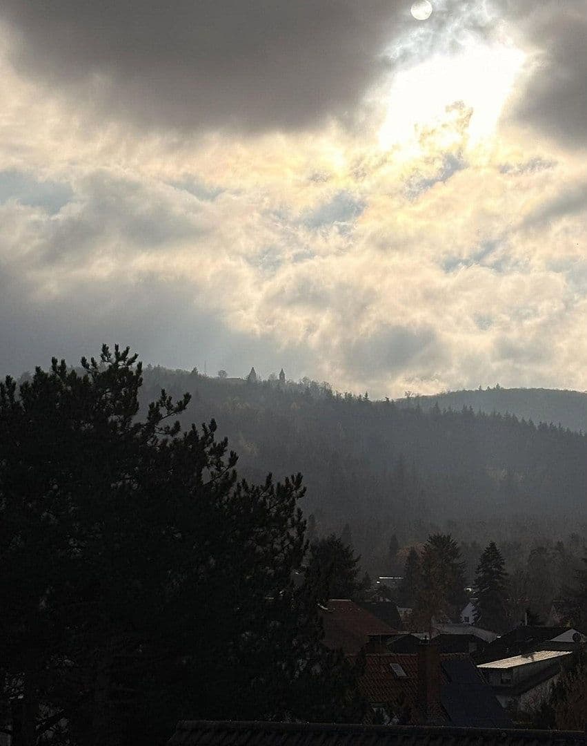 Prodej domu 298 m², pozemek 725 m², Elizabeth-Duncan-Weg 6, Darmstadt, Hessen Prodej domu 298 m², pozemek 725 m², Elizabeth-Duncan-Weg 6, Darmstadt, Hessen