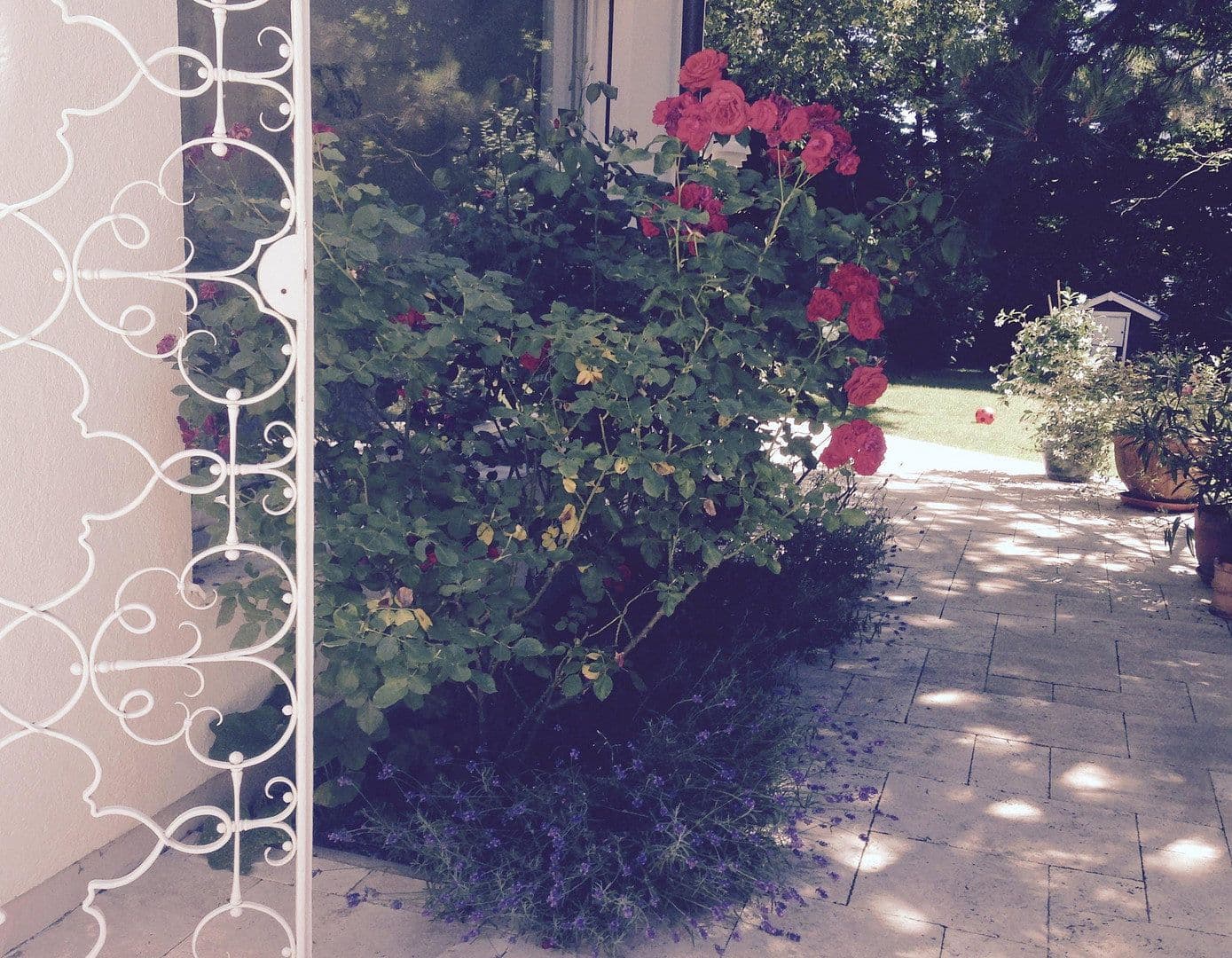 Prodej domu 330 m², pozemek 1.000 m², Augsburg, Bavorsko Prodej domu 330 m², pozemek 1.000 m², Augsburg, Bavorsko