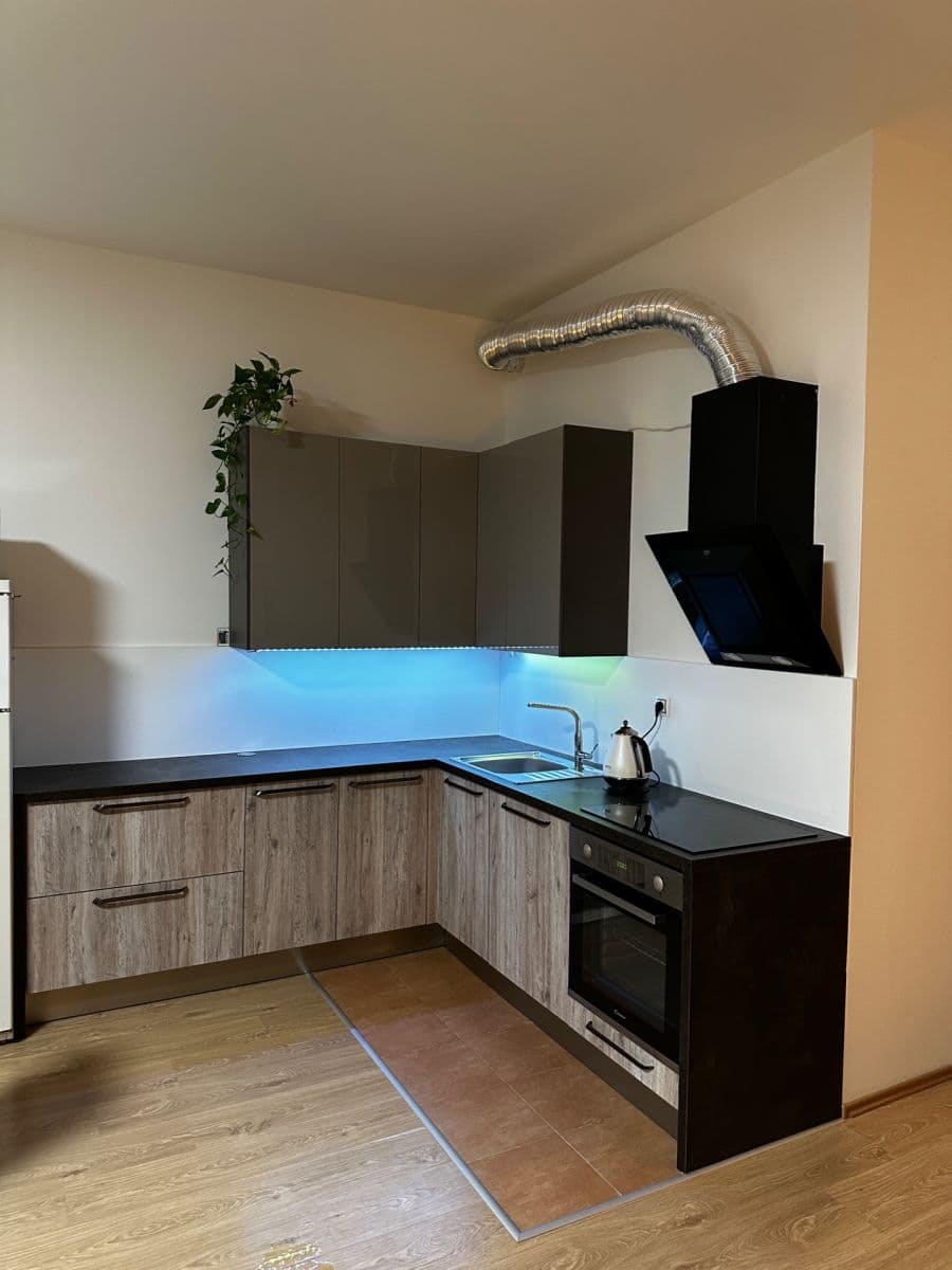 Pronájem bytu 1+kk 66 m², Březenská, Praha, Praha Pronájem bytu 1+kk 66 m², Březenská, Praha, Praha