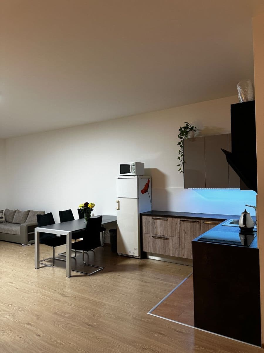 Pronájem bytu 1+kk 66 m², Březenská, Praha, Praha Pronájem bytu 1+kk 66 m², Březenská, Praha, Praha