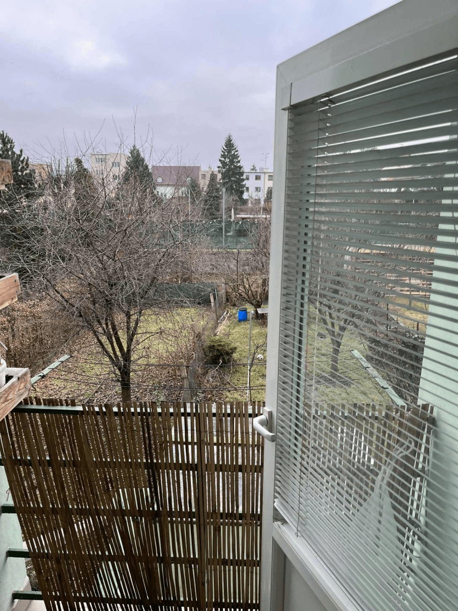 Pronájem bytu 2+1 55 m², Třebízského, Brno, Jihomoravský kraj Pronájem bytu 2+1 55 m², Třebízského, Brno, Jihomoravský kraj