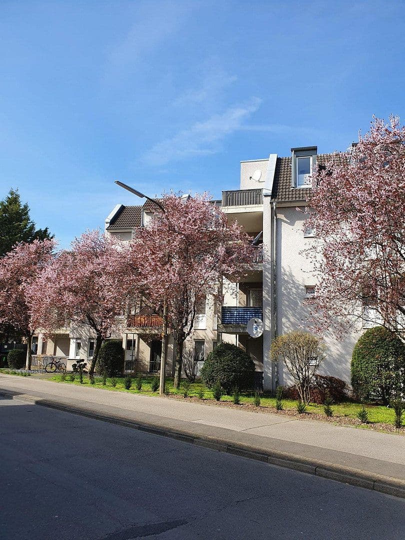 Pronájem bytu 4+1 102 m², Markusstr. 9, Niederkassel, Severní Porýní-Vestfálsko Pronájem bytu 4+1 102 m², Markusstr. 9, Niederkassel, Severní Porýní-Vestfálsko