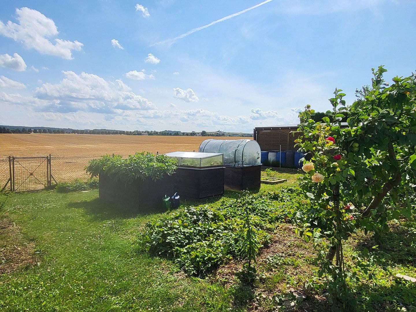 Prodej domu 180 m², pozemek 926 m², Riedenweg 4, Kühlungsborn, Mecklenburg-Vorpommern Prodej domu 180 m², pozemek 926 m², Riedenweg 4, Kühlungsborn, Mecklenburg-Vorpommern