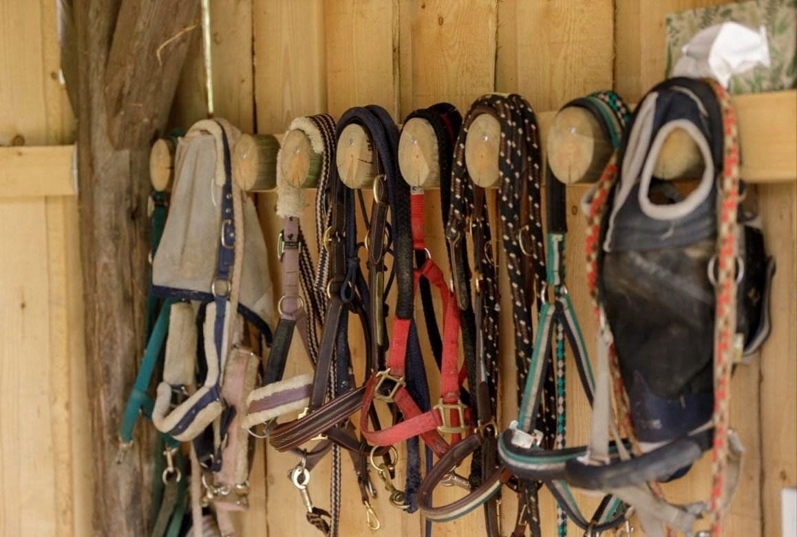 Prodej pozemku 820.000 m², Salem, Bádensko-Württembersko Prodej pozemku 820.000 m², Salem, Bádensko-Württembersko