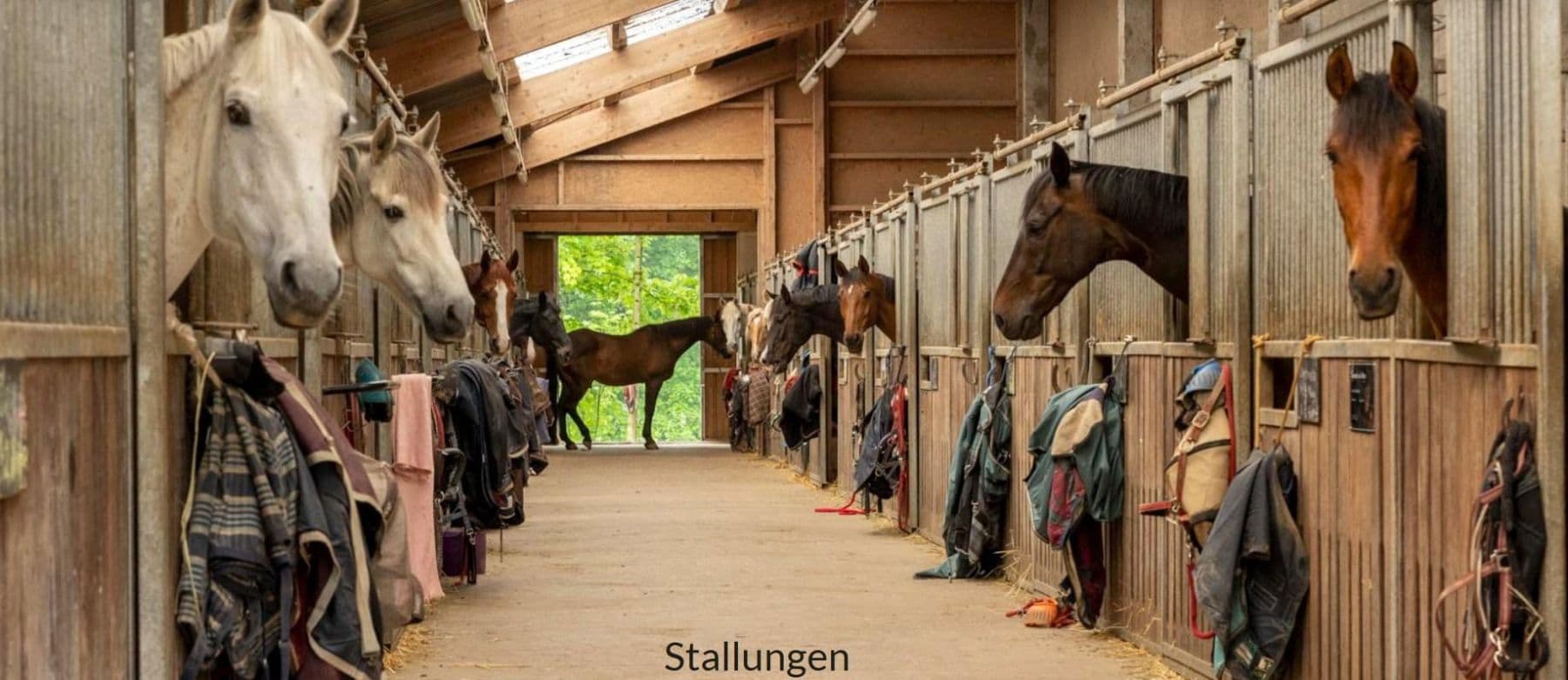 Prodej pozemku 820.000 m², Salem, Bádensko-Württembersko Prodej pozemku 820.000 m², Salem, Bádensko-Württembersko