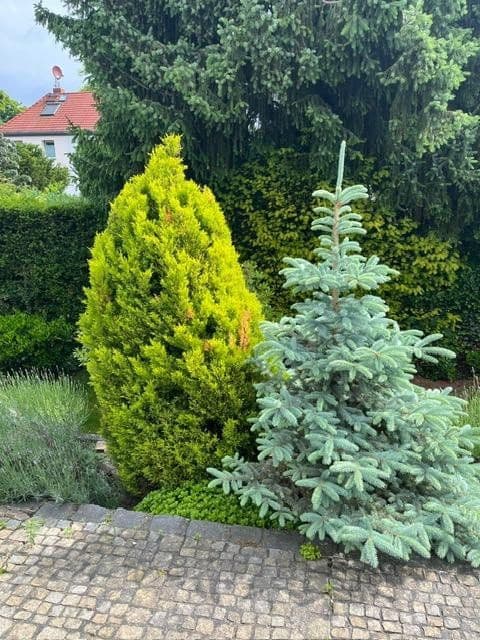 Prodej domu 156 m², pozemek 520 m², Berlin, Berlín Prodej domu 156 m², pozemek 520 m², Berlin, Berlín