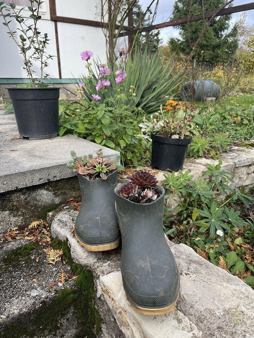 Prodej pozemku 594 m², Bad Berka, Durynsko Prodej pozemku 594 m², Bad Berka, Durynsko