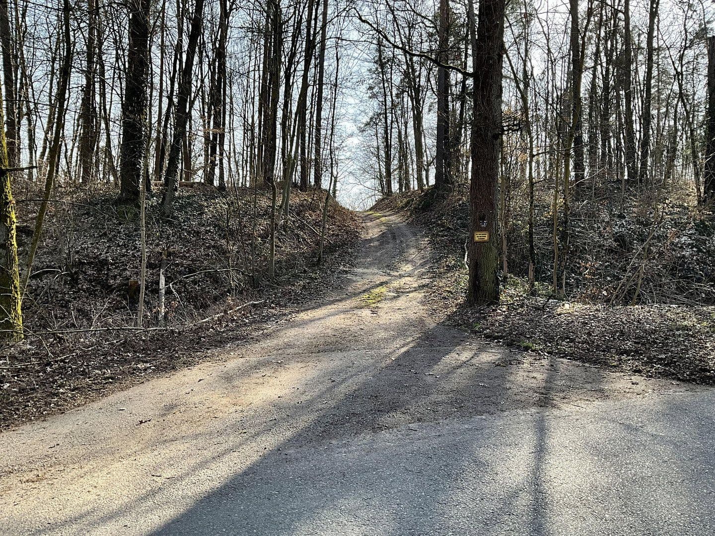 Prodej domu 217 m², pozemek 8.197 m², Langenzenn, Bavorsko Prodej domu 217 m², pozemek 8.197 m², Langenzenn, Bavorsko