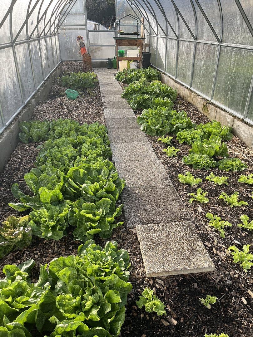 Prodej domu 130 m², pozemek 997 m², Bruck an der Mur, Štýrsko Prodej domu 130 m², pozemek 997 m², Bruck an der Mur, Štýrsko