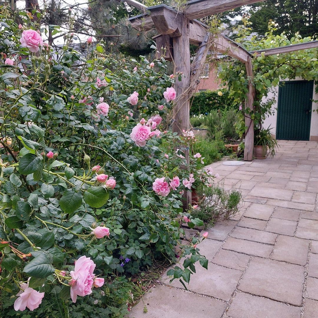 Prodej domu 167 m², pozemek 994 m², Kevelaer, Severní Porýní-Vestfálsko Prodej domu 167 m², pozemek 994 m², Kevelaer, Severní Porýní-Vestfálsko