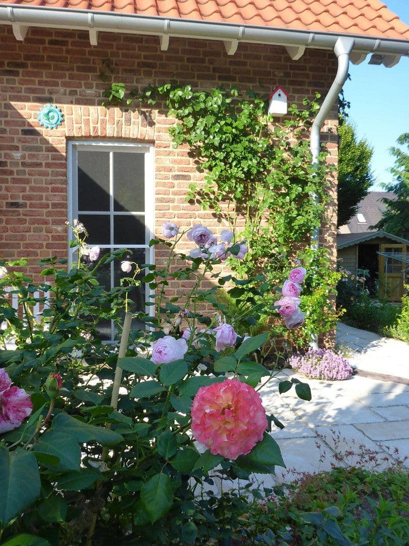 Prodej domu 167 m², pozemek 994 m², Kevelaer, Severní Porýní-Vestfálsko Prodej domu 167 m², pozemek 994 m², Kevelaer, Severní Porýní-Vestfálsko