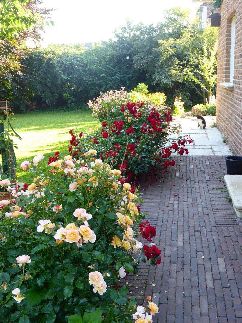 Prodej domu 167 m², pozemek 994 m², Kevelaer, Severní Porýní-Vestfálsko Prodej domu 167 m², pozemek 994 m², Kevelaer, Severní Porýní-Vestfálsko