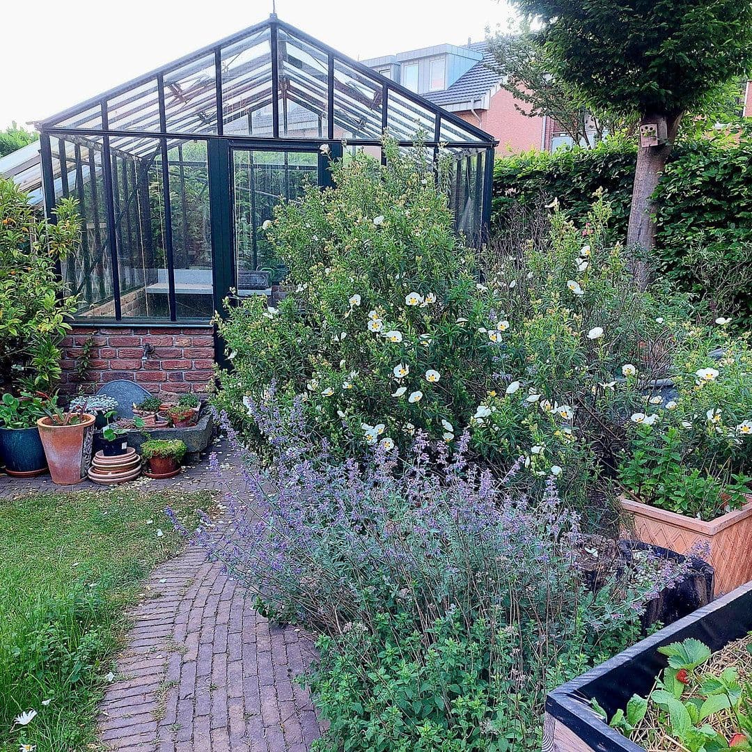 Prodej domu 167 m², pozemek 994 m², Kevelaer, Severní Porýní-Vestfálsko Prodej domu 167 m², pozemek 994 m², Kevelaer, Severní Porýní-Vestfálsko