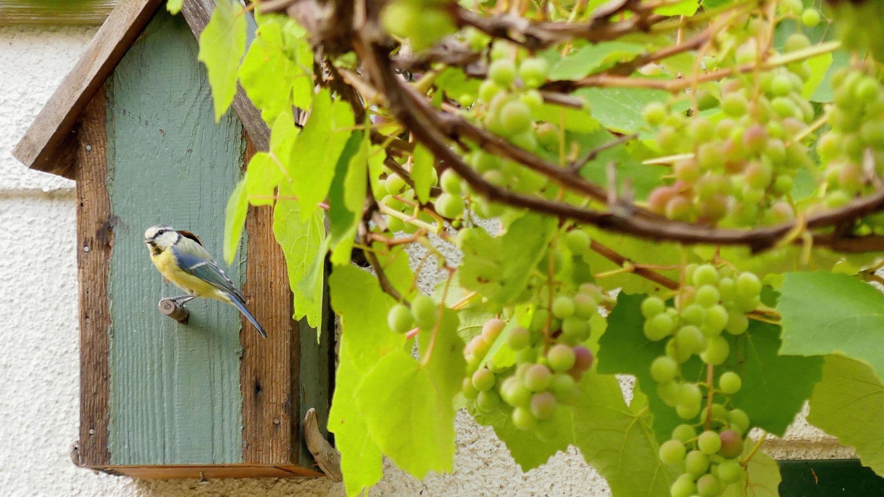 Prodej domu 167 m², pozemek 994 m², Kevelaer, Severní Porýní-Vestfálsko Prodej domu 167 m², pozemek 994 m², Kevelaer, Severní Porýní-Vestfálsko