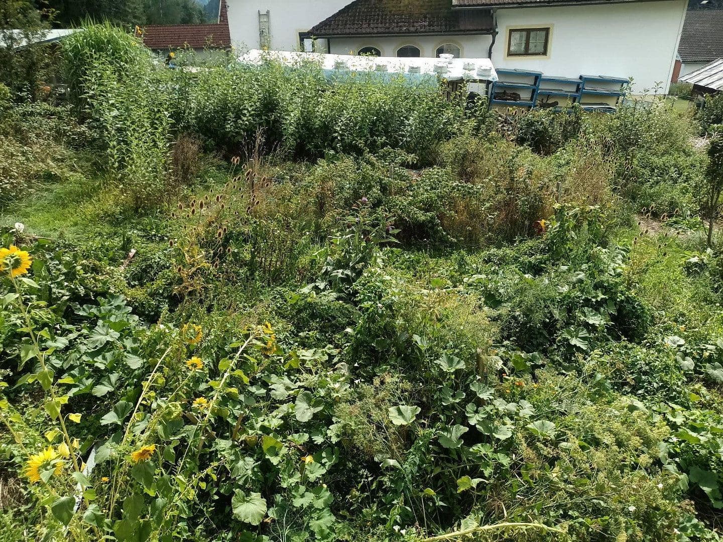 Pronájem domu 70 m², pozemek 700 m², Steindorf, Korutany Pronájem domu 70 m², pozemek 700 m², Steindorf, Korutany