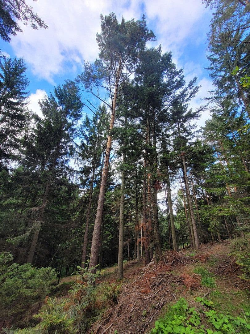 Prodej pozemku 82.935 m², Pöggstall, Dolní Rakousko Prodej pozemku 82.935 m², Pöggstall, Dolní Rakousko