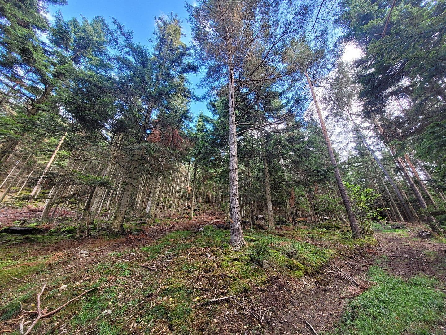 Prodej pozemku 82.935 m², Pöggstall, Dolní Rakousko Prodej pozemku 82.935 m², Pöggstall, Dolní Rakousko