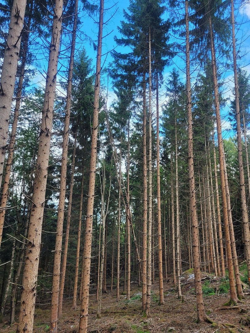 Prodej pozemku 82.935 m², Pöggstall, Dolní Rakousko Prodej pozemku 82.935 m², Pöggstall, Dolní Rakousko