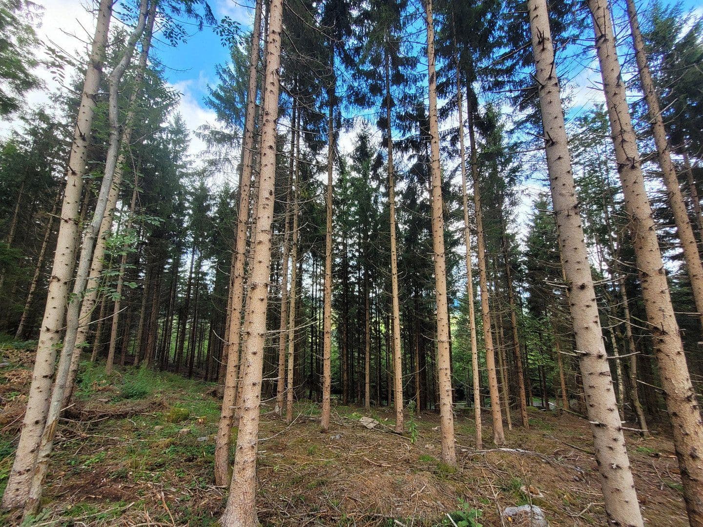 Prodej pozemku 82.935 m², Pöggstall, Dolní Rakousko Prodej pozemku 82.935 m², Pöggstall, Dolní Rakousko