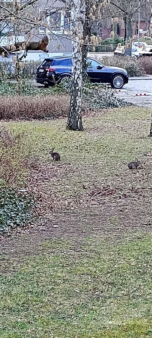 Prodej bytu 3+1 86 m², Berlin, Berlín Prodej bytu 3+1 86 m², Berlin, Berlín