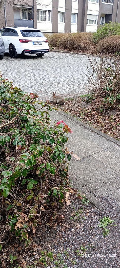 Prodej bytu 3+1 86 m², Berlin, Berlín Prodej bytu 3+1 86 m², Berlin, Berlín