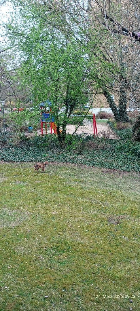 Prodej bytu 3+1 86 m², Berlin, Berlín Prodej bytu 3+1 86 m², Berlin, Berlín