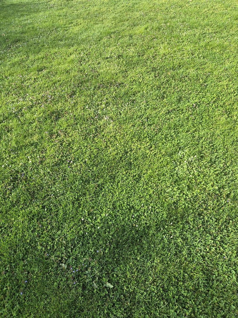 Prodej pozemku 414 m², Hollabrunn, Dolní Rakousko Prodej pozemku 414 m², Hollabrunn, Dolní Rakousko