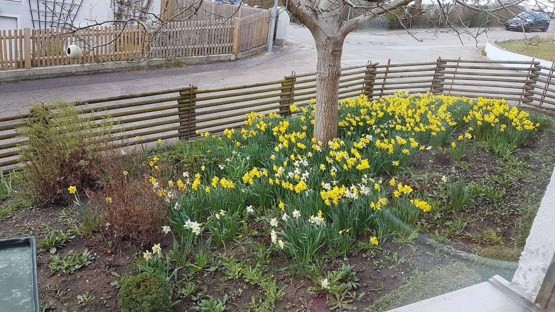 Prodej domu 232 m², pozemek 671 m², Eichstätt, Bavorsko Prodej domu 232 m², pozemek 671 m², Eichstätt, Bavorsko