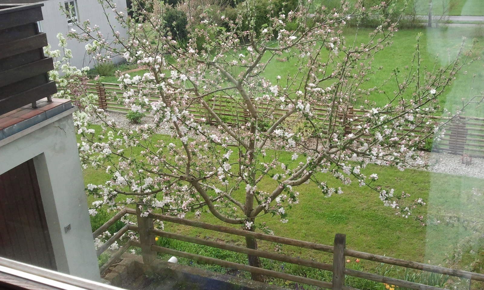 Prodej domu 232 m², pozemek 671 m², Eichstätt, Bavorsko Prodej domu 232 m², pozemek 671 m², Eichstätt, Bavorsko