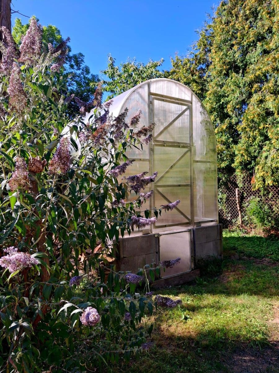 Prodej domu 98 m², pozemek 3.000 m², Hlavatce, Jihočeský kraj Prodej domu 98 m², pozemek 3.000 m², Hlavatce, Jihočeský kraj