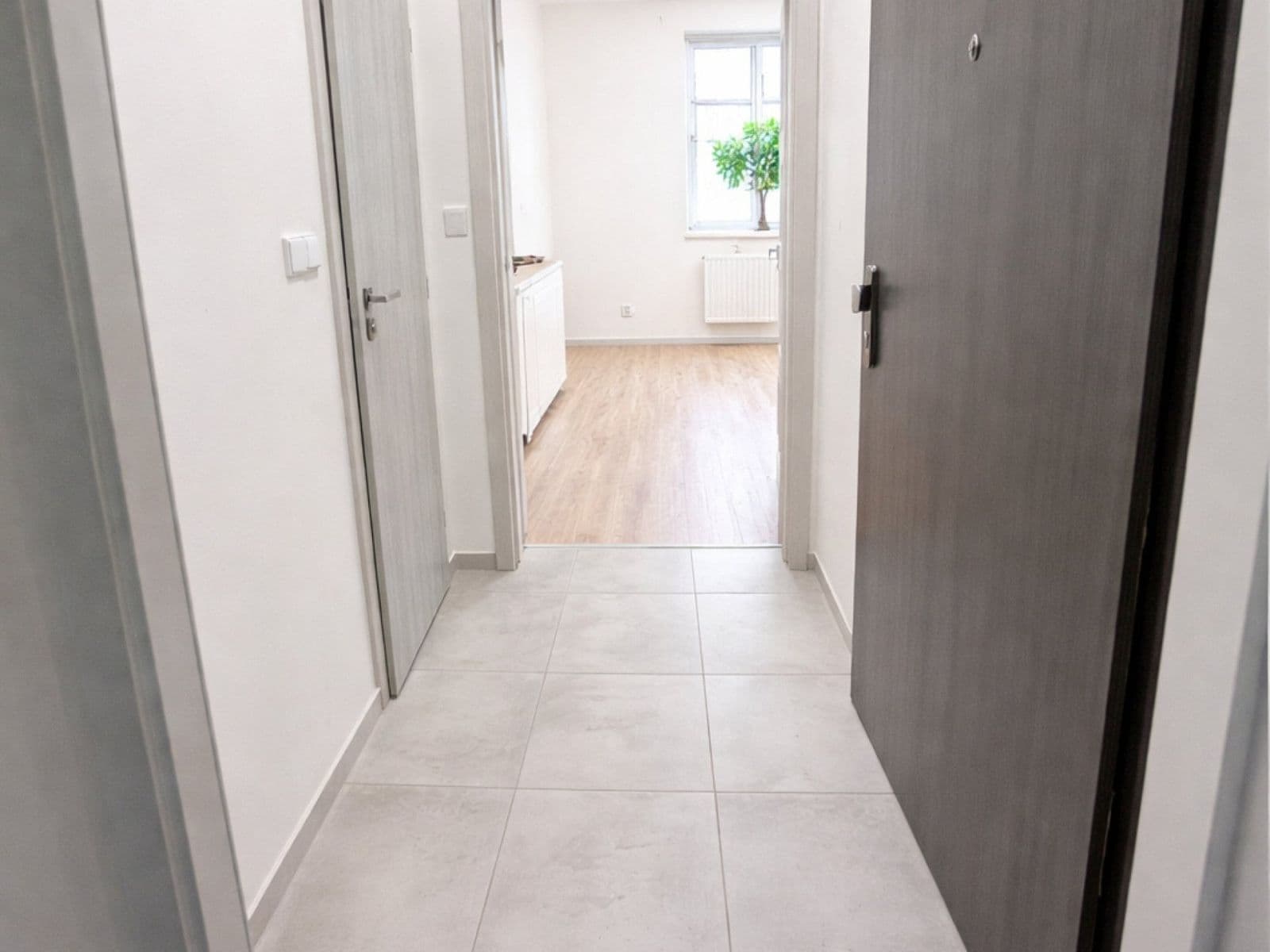 Pronájem bytu 1+kk 22 m², Mathonova, Brno, Jihomoravský kraj Pronájem bytu 1+kk 22 m², Mathonova, Brno, Jihomoravský kraj