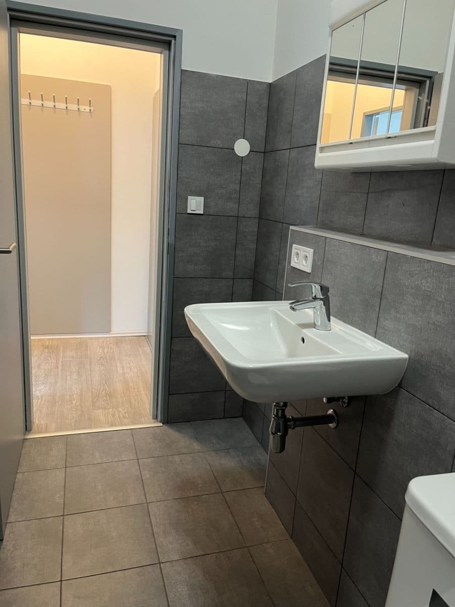 Pronájem bytu 1+kk 45 m², V Bytovkách, Praha, Praha Pronájem bytu 1+kk 45 m², V Bytovkách, Praha, Praha