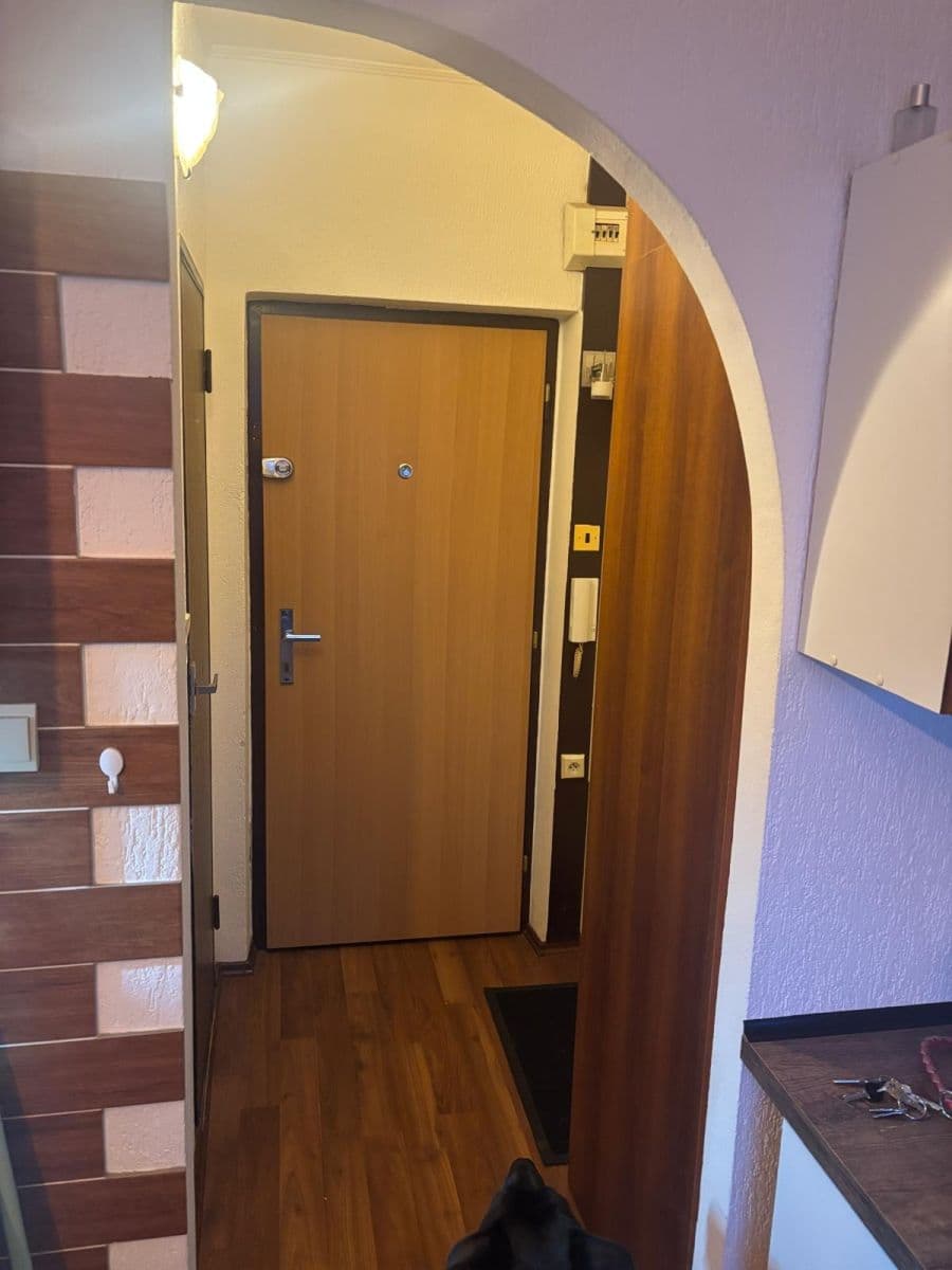 Pronájem bytu 1+1 45 m², Dvořákova, Cheb, Karlovarský kraj Pronájem bytu 1+1 45 m², Dvořákova, Cheb, Karlovarský kraj