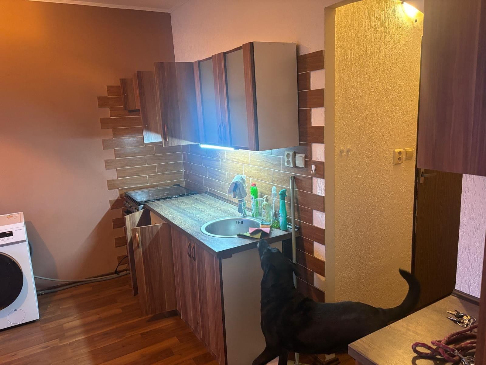 Pronájem bytu 1+1 45 m², Dvořákova, Cheb, Karlovarský kraj Pronájem bytu 1+1 45 m², Dvořákova, Cheb, Karlovarský kraj