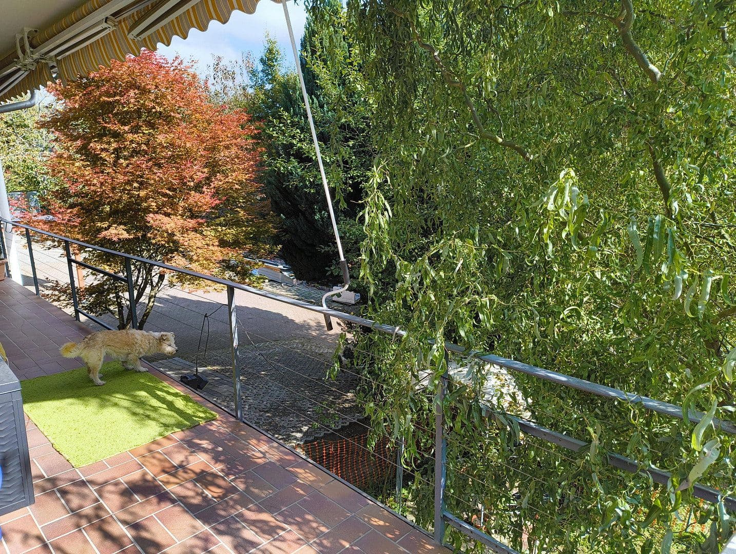 Prodej domu 330 m², pozemek 1.746 m², Haldenäckerstr. 15/2, Oberndorf am Neckar, Bádensko-Württembersko Prodej domu 330 m², pozemek 1.746 m², Haldenäckerstr. 15/2, Oberndorf am Neckar, Bádensko-Württembersko