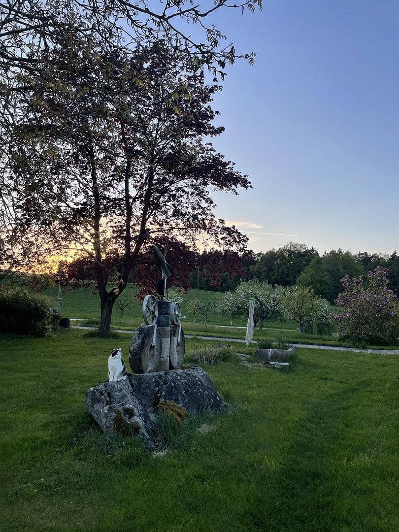 Pronájem bytu 160 m², Alberndorf, Horní Rakousko Pronájem bytu 160 m², Alberndorf, Horní Rakousko