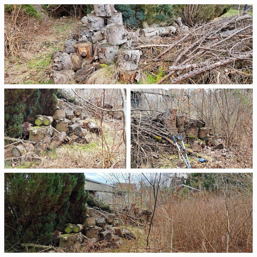 Prodej pozemku 2.800 m², Wandlitz, Braniborsko Prodej pozemku 2.800 m², Wandlitz, Braniborsko