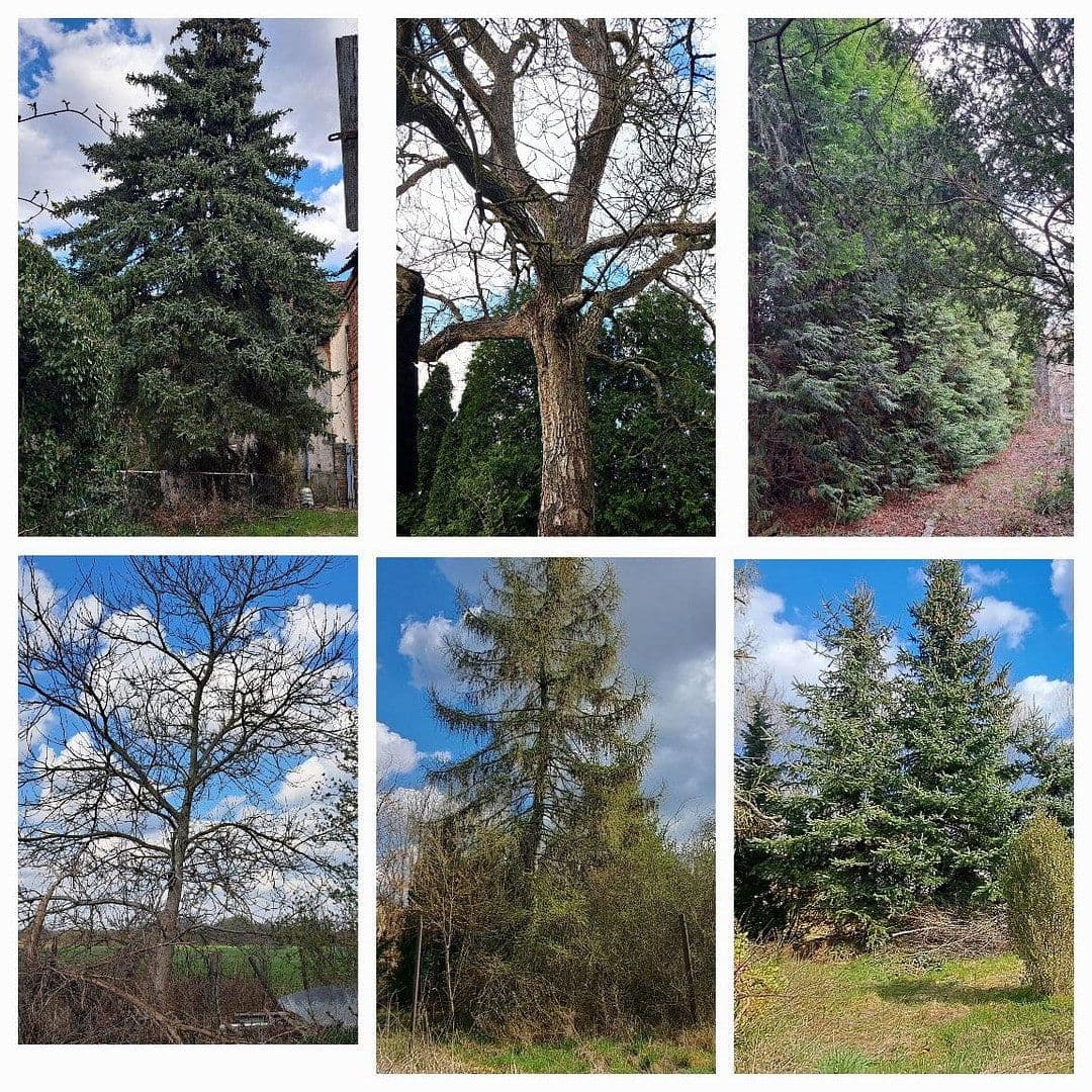 Prodej pozemku 2.800 m², Wandlitz, Braniborsko Prodej pozemku 2.800 m², Wandlitz, Braniborsko