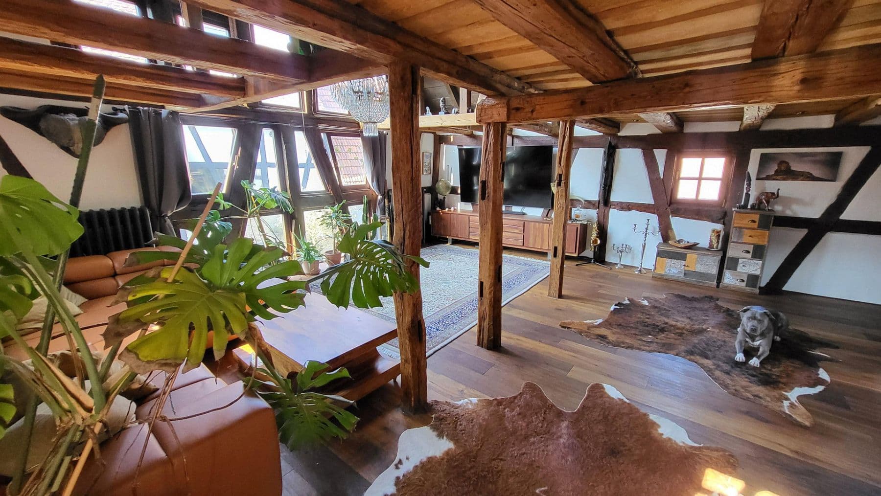 Prodej domu 280 m², pozemek 379 m², Rodenbach, Hessen Prodej domu 280 m², pozemek 379 m², Rodenbach, Hessen